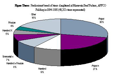 Predominant breed of steers at Manawatu Beef Packers