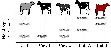 Diagram of using DNA to determine Parentage