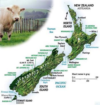 New Zealand map