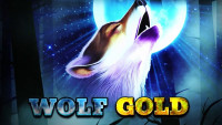 Wolf Gold