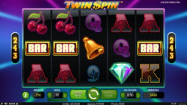 Twin Spin