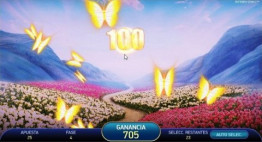 Butterfly Frenzy bonus game